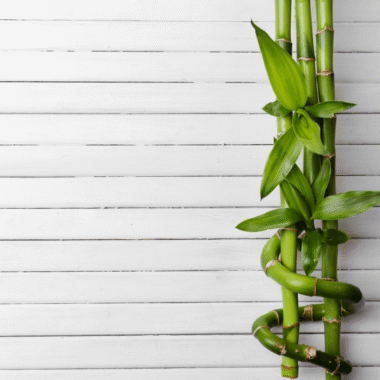 Yapay Çiçeklerle Uyumlu Vazo Seçimi Nasıl Yapılır?