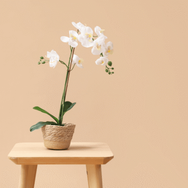 Kuru Çiçek Dekorasyonunda En Trend Fikirler