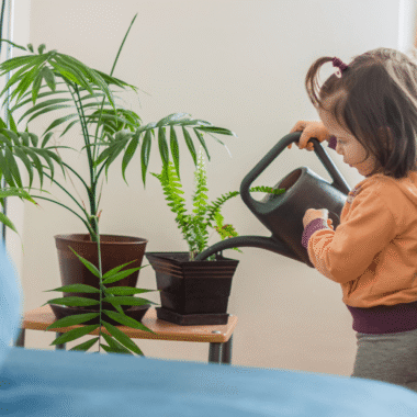 Kuru Çiçek Dekorasyonunda En Trend Fikirler