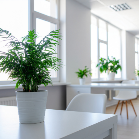 Kurumsal Mekânlarda Yapay Bitkiler ile Profesyonel Atmosfer Oluşturma