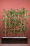 140-cm-bambu-seperator-434.jpg