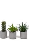 Beton Saksıda Yapay 3'lü Kaktüs Seti