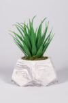 Beton Saksıda Yapay Aloe Vera