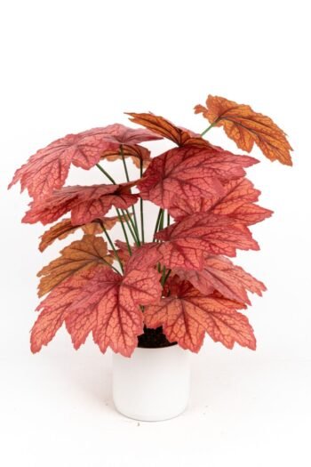 BEYAZ SAKSIDA YAPAY KALADYUM (CALADIUM) ÇİÇEĞİ