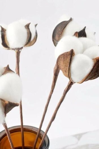 Büyük Doğal Pamuk Demeti 10'lu