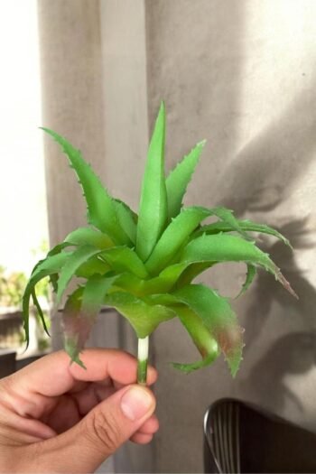 Gerçek Dokulu Yapay Kaktüs Sukulent