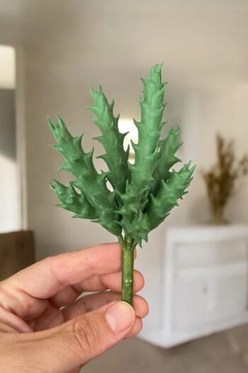 Gerçek Dokulu Yapay Kaktüs Sukulent