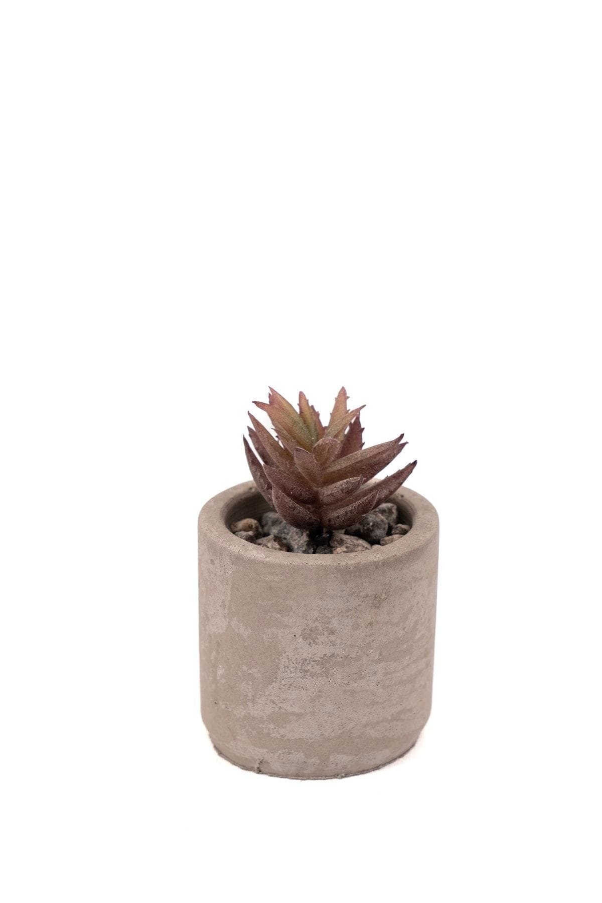 gri-beton-saksida-bordo-renkli-3-lu-kaktus-seti-288.jpg