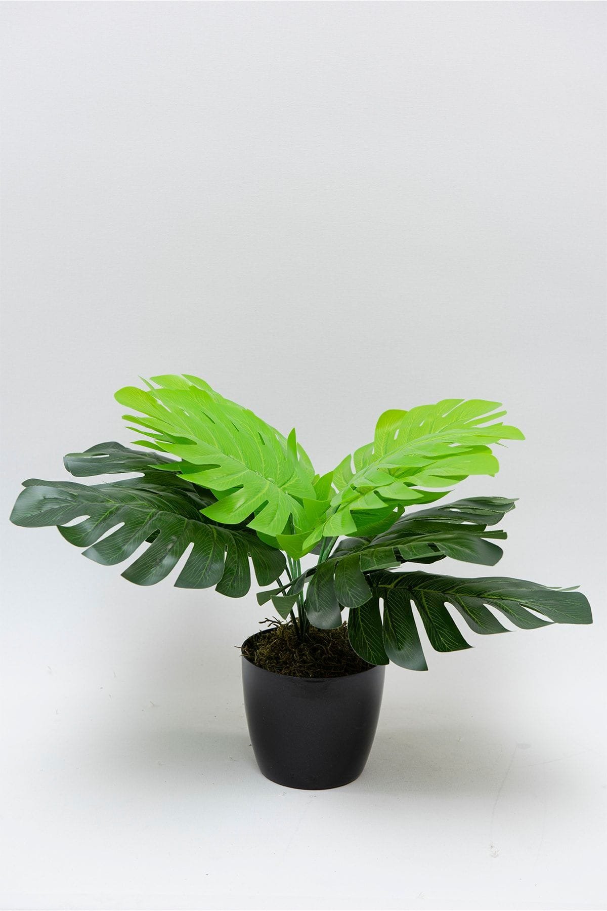 mini-saksida-yapay-monstera-agaci-1622.jpg