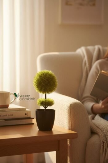 Siyah Saksıda 25 cm Mini Top Şimşir