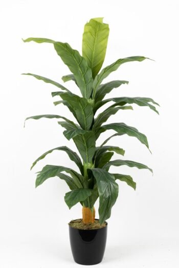 Siyah Saksıda Çim Detaylı Büyük Yapraklı Yapay Difenbahya Ağacı 120 Cm