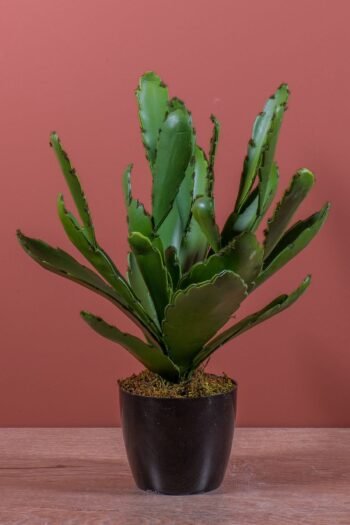 Siyah Saksıda Yapay Kaktüs