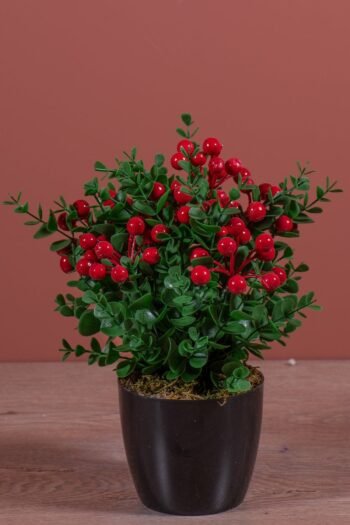 Siyah Saksıda Yapay Kokina Ağacı