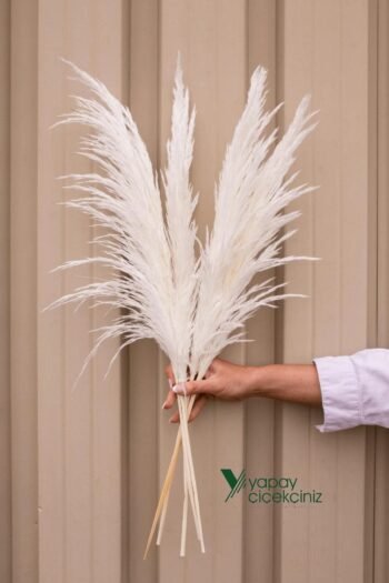 Şoklanmış Beyaz Pampas Demeti