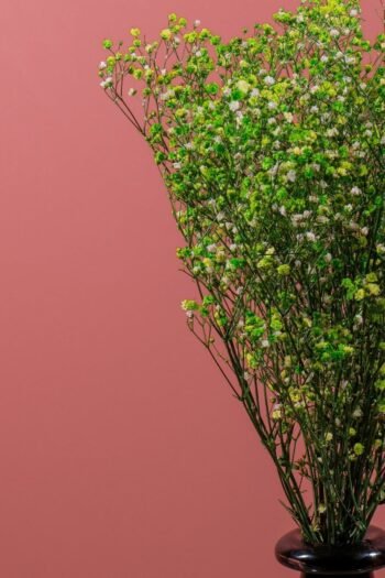 Şoklanmış Cipso Demeti Yeşil