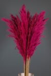 soklanmis-pembe-pampas-16-adet-1981.jpg
