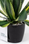 tas-detayli-siyah-saksida-yapay-kaktus-demeti-266.jpg