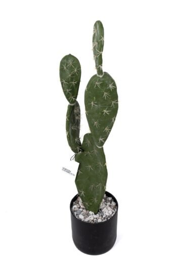 Taş Kaplı Siyah Saksısında Yapay Texas Kaktüs