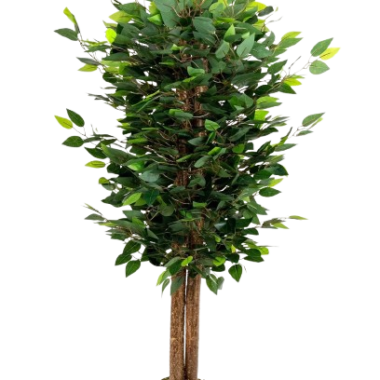 Yapay Benjamin Ağacı